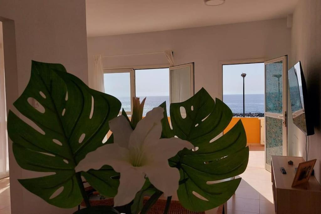 Ferienwohnung La Marea Baja Puertito de Guimar Exterior foto